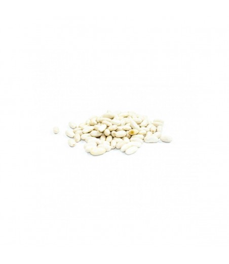 Terre e Gusti Fagioli
