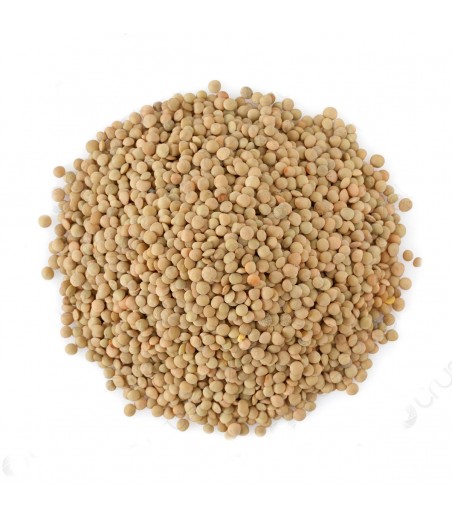 Terre e Gusti Lenticchie